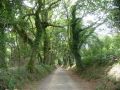 Galizischer Hohlweg